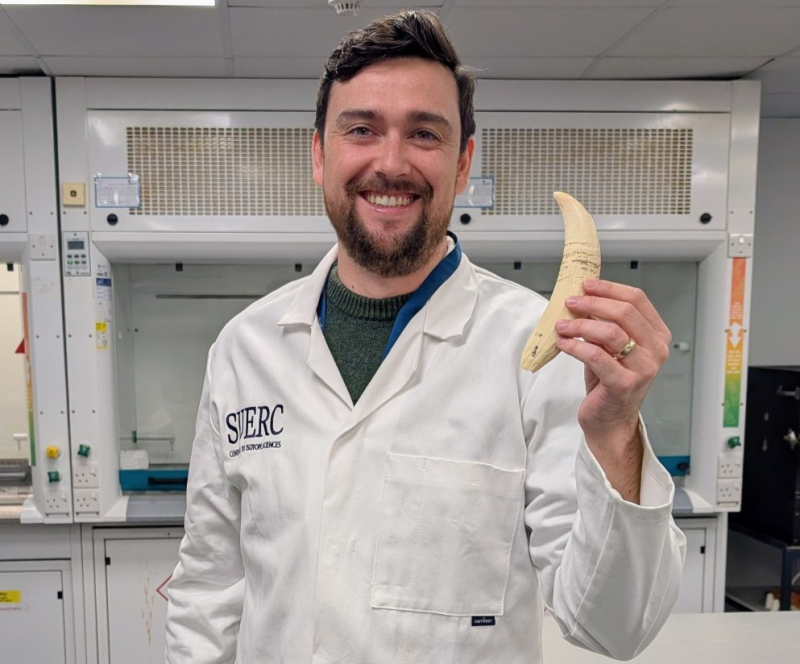 Dr Kieran Tierney with one of the whale teeth that was radiocarbon dated.